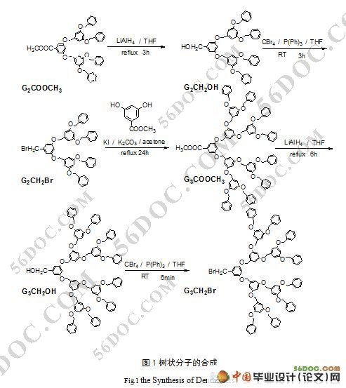树状分子的合成
