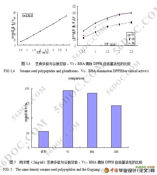芝麻蛋白多肽抗氧化活性研究