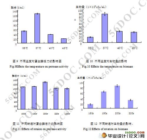 芝麻粕降解菌的筛选与发酵条件优化