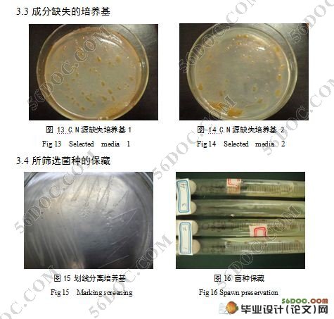 厚朴CO2超临界萃取废弃液分解菌的筛选