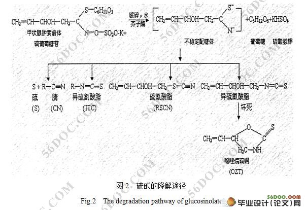 菜粕发酵微生物的筛选及脱毒研究