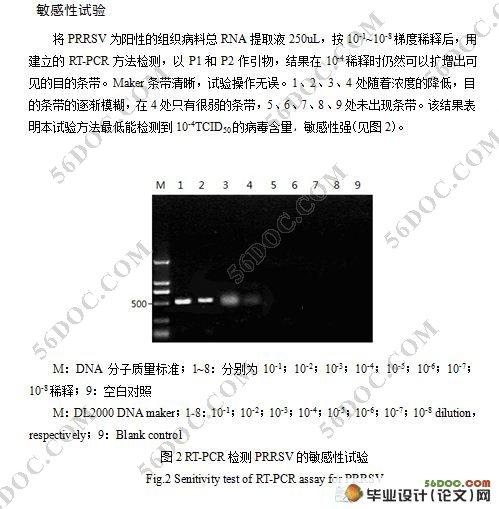 RT-PCR(