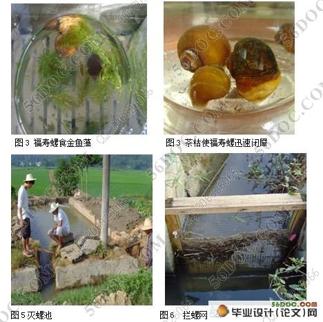 福寿螺体内纤维素酶和淀粉酶的初步研究