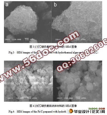碳负载铁纳米材料的制备及吸附水中四环素的研究