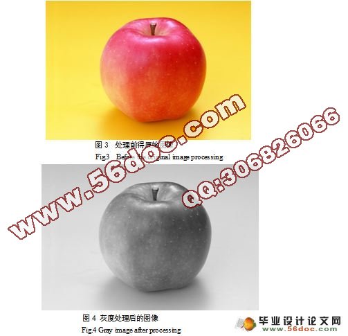 苹果图像中成熟苹果的定位设计与实现