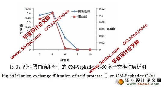 酸性蛋白酶的分离纯化