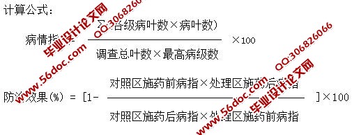 不同杀菌剂防治稻曲病田间药效评价