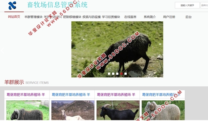 畜牧场信息管理系统的设计与实现(Javaweb,MySQL)