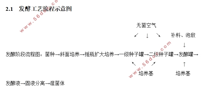 年产100吨利巴韦林生产线工艺设计(核苷磷酸化酶工段)(含CAD图)